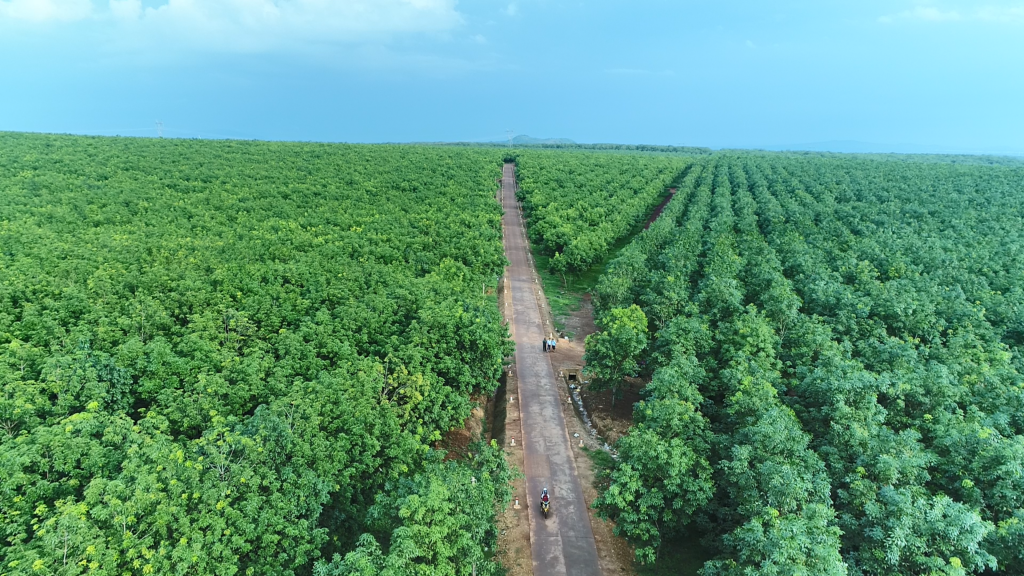 VRG có 20 công ty đạt Doanh nghiệp bền vững năm 2021